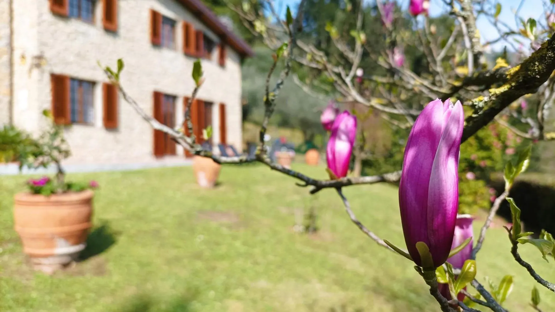 Villa Camelia Tuscany Pescia 0*,